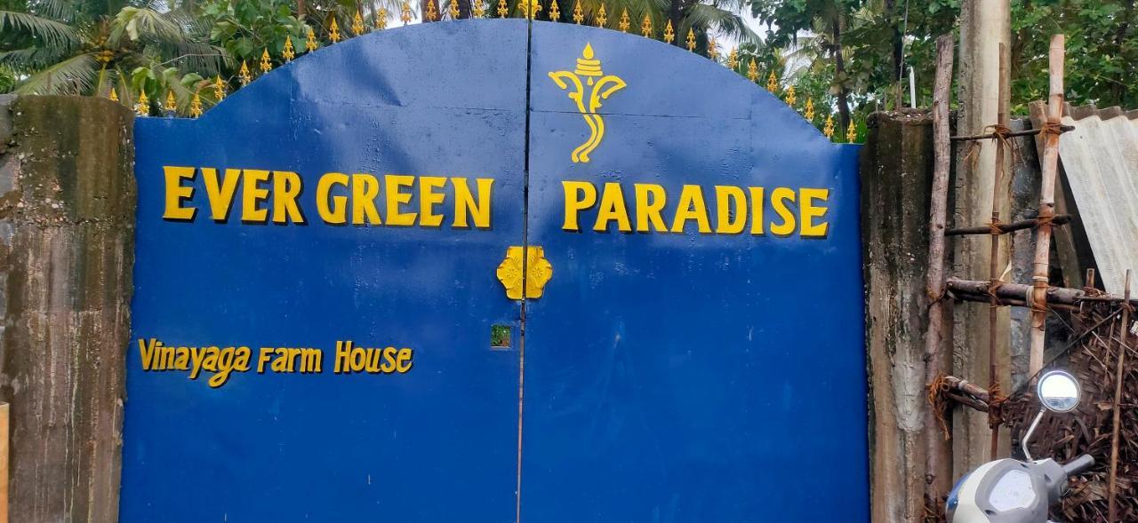 Evergreen Paradise ポンディシェリ 部屋 写真