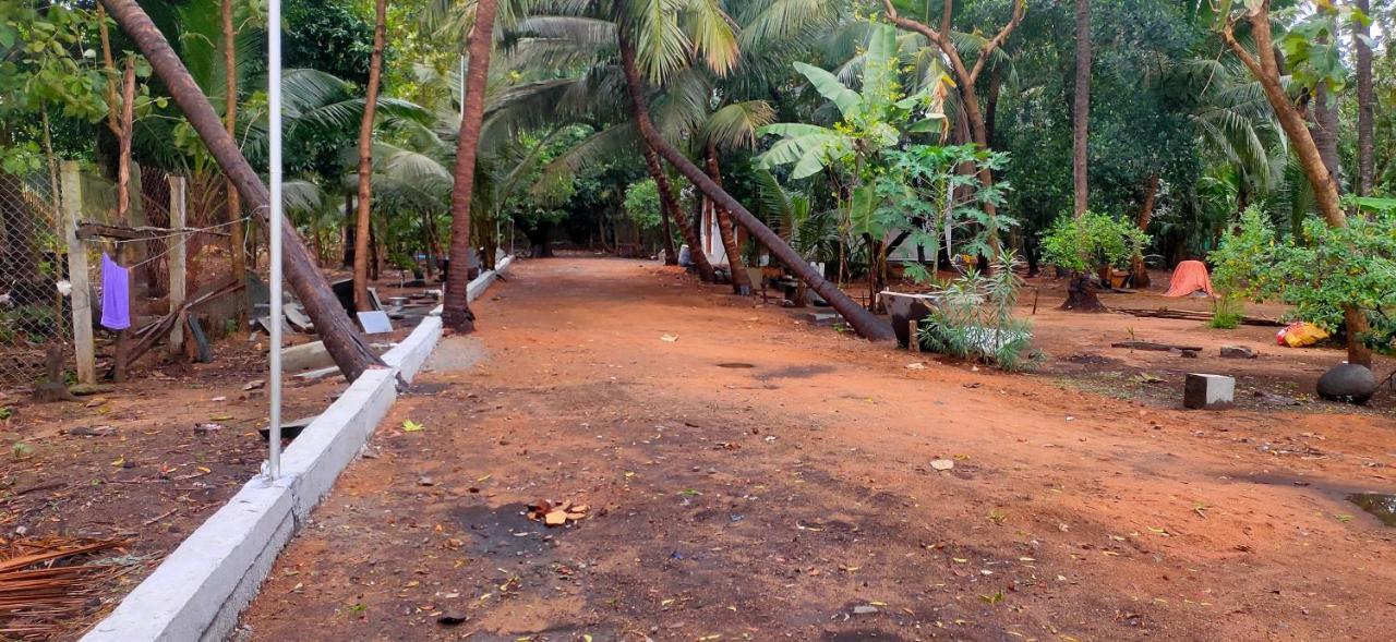 Evergreen Paradise ポンディシェリ 部屋 写真